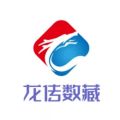 龙传数藏数字藏品