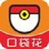 口袋花app