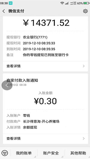 分红猪红包版