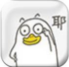 企鹅接单