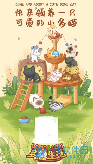 多猫生活
