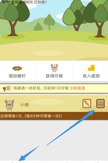 趣赚养猪