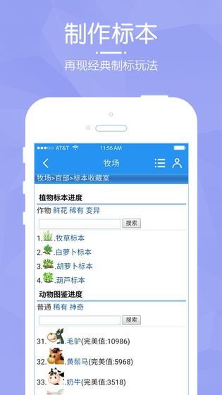 阳光牧场