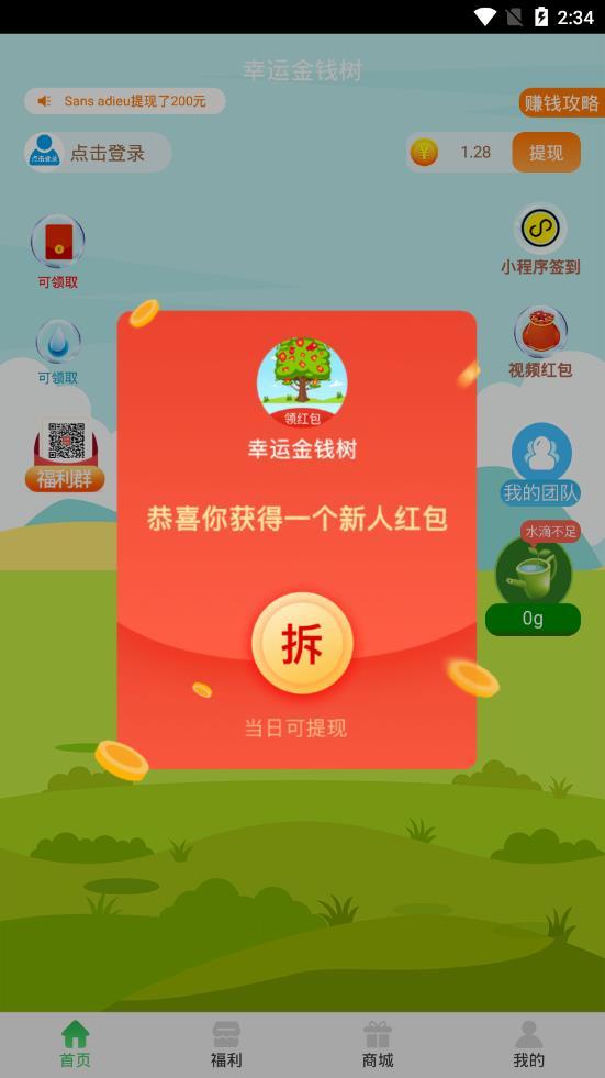 幸运金钱树