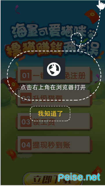 赚钱的猫