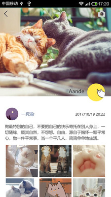 mchat安卓app