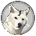 Jindoge币官方版平台