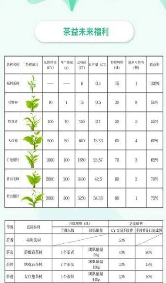 茶益未来