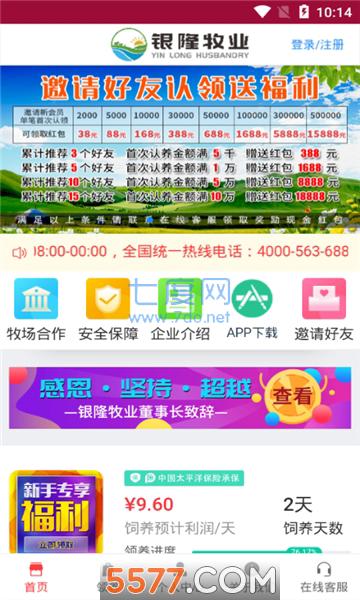 银隆牧业