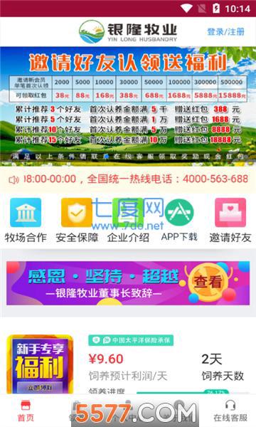 银隆牧业