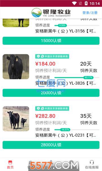 银隆牧业