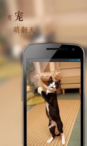 花瓣app直播