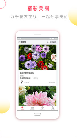 花信app