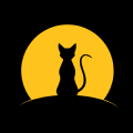 夜探交友app手机版