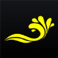 浪聊视频聊天交友app手机版