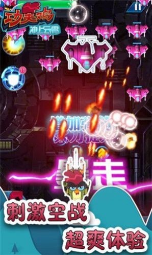 功夫鸡