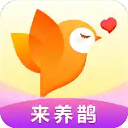 欢鹊交友app官方版