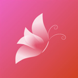 夜蝶直播app官方