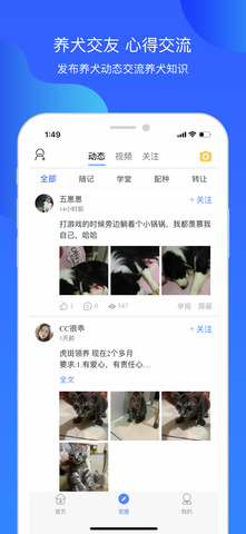 犬卫士app官网