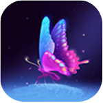 旧版花蝴蝶app