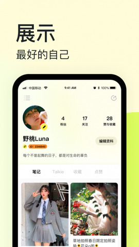 纸球app