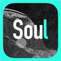 soul官网登录入口