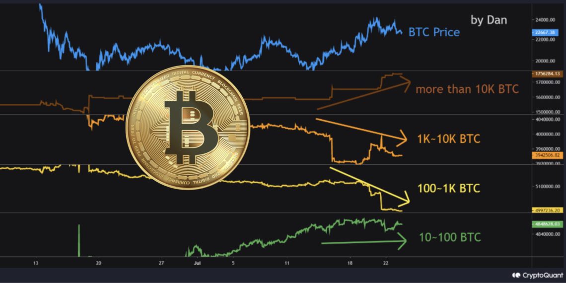 CryptoQuant：本次反弹由做市商推动 
