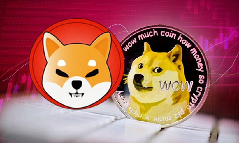 Meme概念币热度暴跌！狗狗币、柴犬币