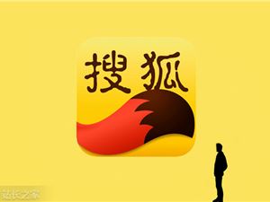 搜狐发布二季度财报：营收1.95亿美元