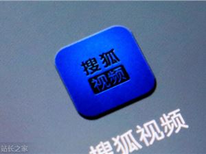 搜狐第二季度营收1. 95 亿美元 同