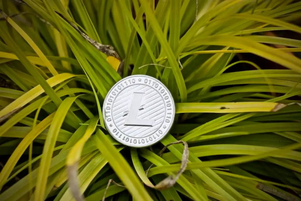 dot币价格今日行情最新一览1