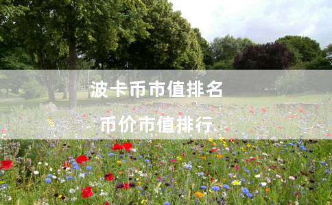 波卡币市值排名币价市值排行1