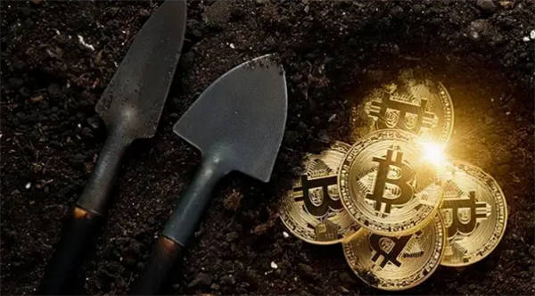 中本聪core最新价格_中本聪的价格1