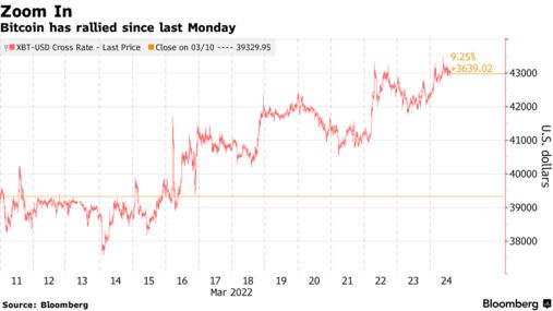 比特币近期反弹不改2022年“加密寒冬”之势?