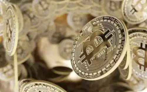 狗狗币最贵多少钱一个(狗狗币未来的升值空间)1