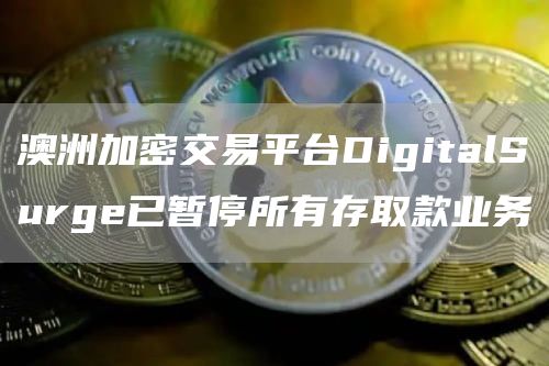澳洲加密交易平台DigitalSurge已暂停所有存取款业务1