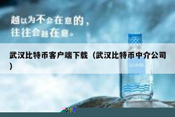武汉比特币客户端下载(武汉比特币中介公司) 第1张 武汉比特币客户端下载(武汉比特币中介公司) 第1张