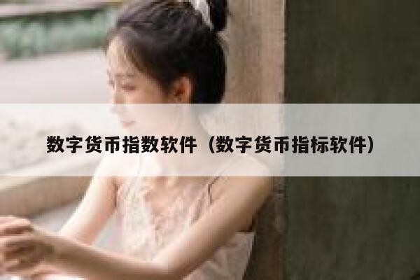 数字货币指数软件（数字货币指标软件） 第1张
