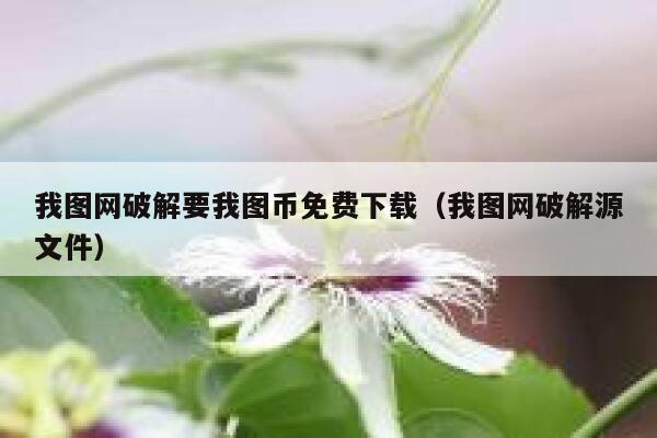 我图网破解要我图币免费下载(我图网破解源文件) 第1张 我图网破解要我图币免费下载(我图网破解源文件) 第1张