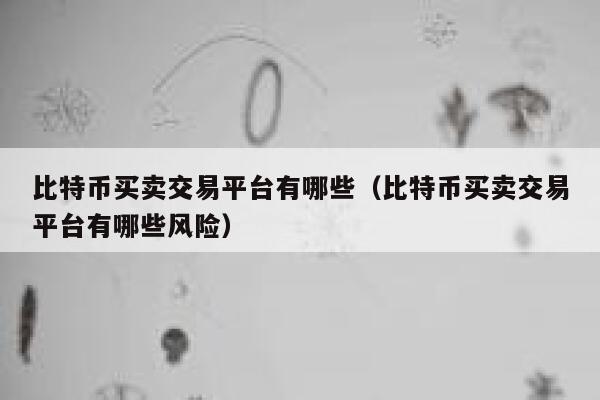 比特币买卖交易平台有哪些(比特币买卖交易平台有哪些风险) 第1张 比特币买卖交易平台有哪些(比特币买卖交易平台有哪些风险) 第1张