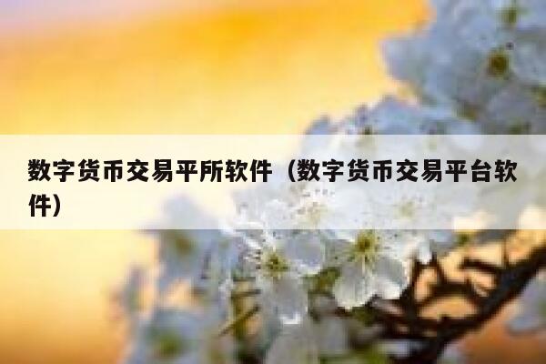 数字货币交易平所软件(数字货币交易平台软件) 第1张 数字货币交易平所软件(数字货币交易平台软件) 第1张