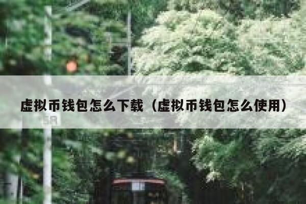 虚拟币钱包怎么下载(虚拟币钱包怎么使用) 第1张 虚拟币钱包怎么下载(虚拟币钱包怎么使用) 第1张