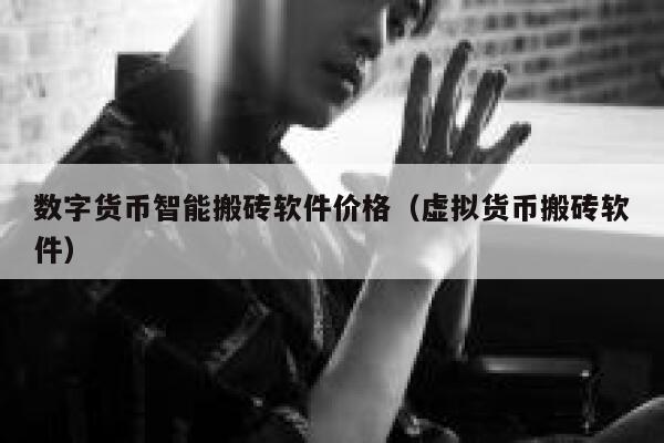 数字货币智能搬砖软件价格(虚拟货币搬砖软件) 第1张 数字货币智能搬砖软件价格(虚拟货币搬砖软件) 第1张