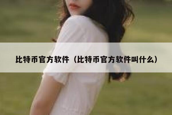 比特币官方软件(比特币官方软件叫什么) 第1张 比特币官方软件(比特币官方软件叫什么) 第1张