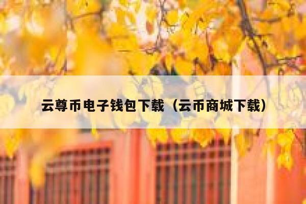 云尊币电子钱包下载（云币商城下载） 第1张