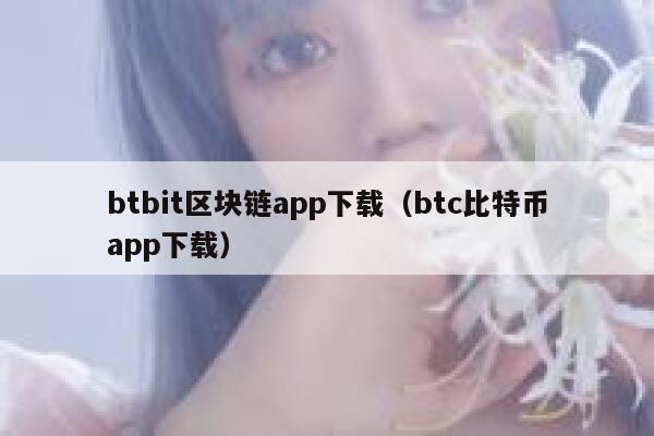 btbit区块链app下载（btc比特币app下载） 第1张