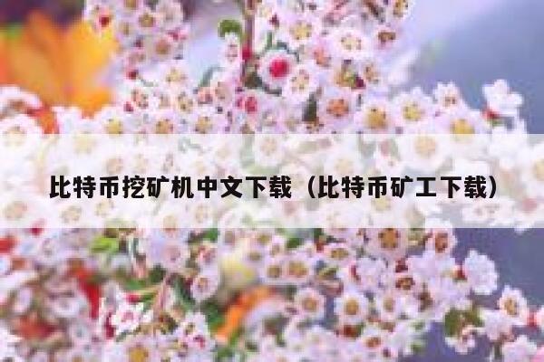 比特币挖矿机中文下载(比特币矿工下载) 第1张 比特币挖矿机中文下载(比特币矿工下载) 第1张