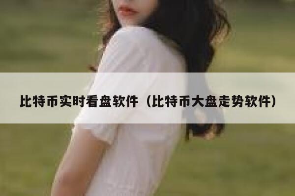 比特币实时看盘软件(比特币大盘走势软件) 第1张 比特币实时看盘软件(比特币大盘走势软件) 第1张