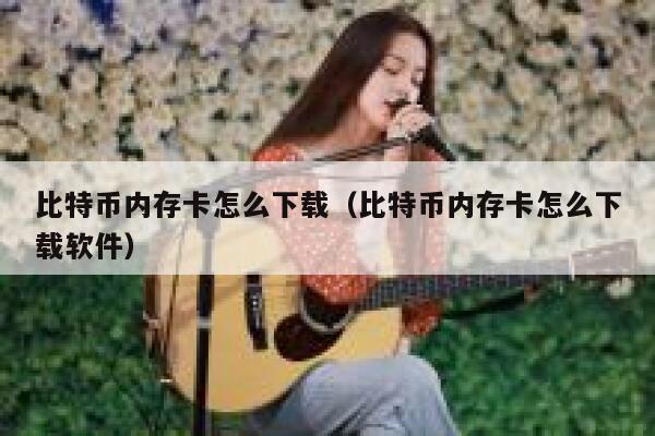 比特币内存卡怎么下载(比特币内存卡怎么下载软件) 第1张 比特币内存卡怎么下载(比特币内存卡怎么下载软件) 第1张