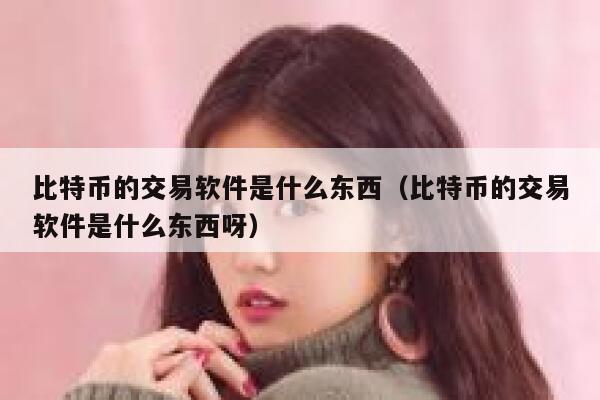 比特币的交易软件是什么东西（比特币的交易软件是什么东西呀） 第1张
